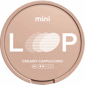 LOOP Creamy Cappuccino Mini
