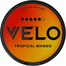 VELO Tropical Mango Extra Strong