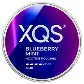 XQS Blueberry Mint